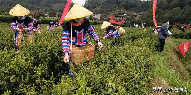 待到满山翠绿时，他在丛中笑