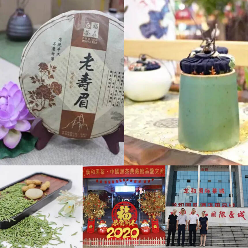 第八届中国成都国际非物质文化遗产节 茶文化艺术动员部署会议召开