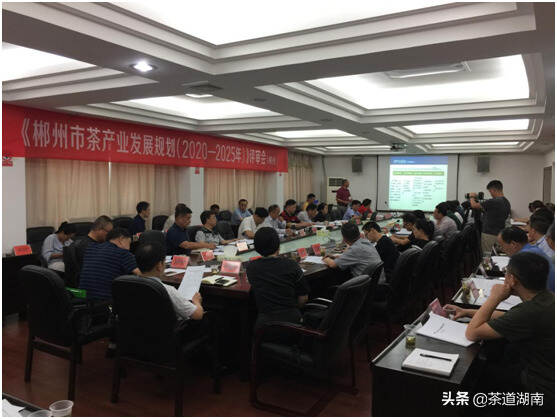 郴州市举行茶产业发展规划评审会