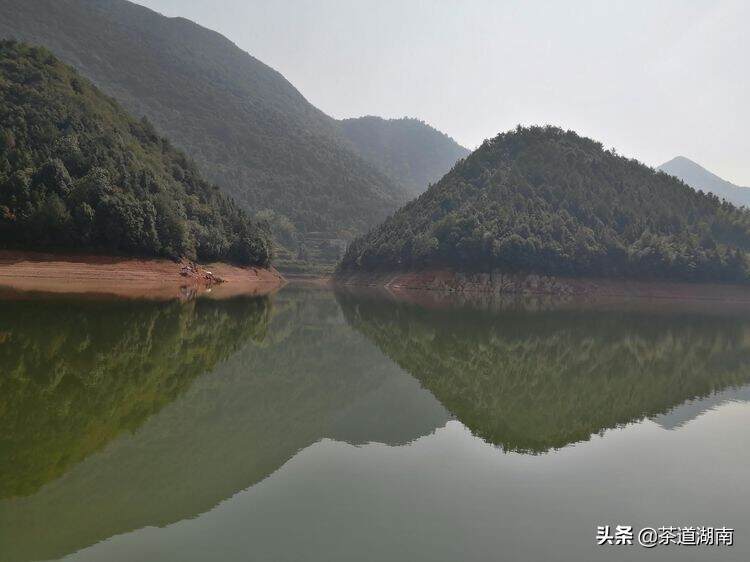 龙湾流月诗韵华