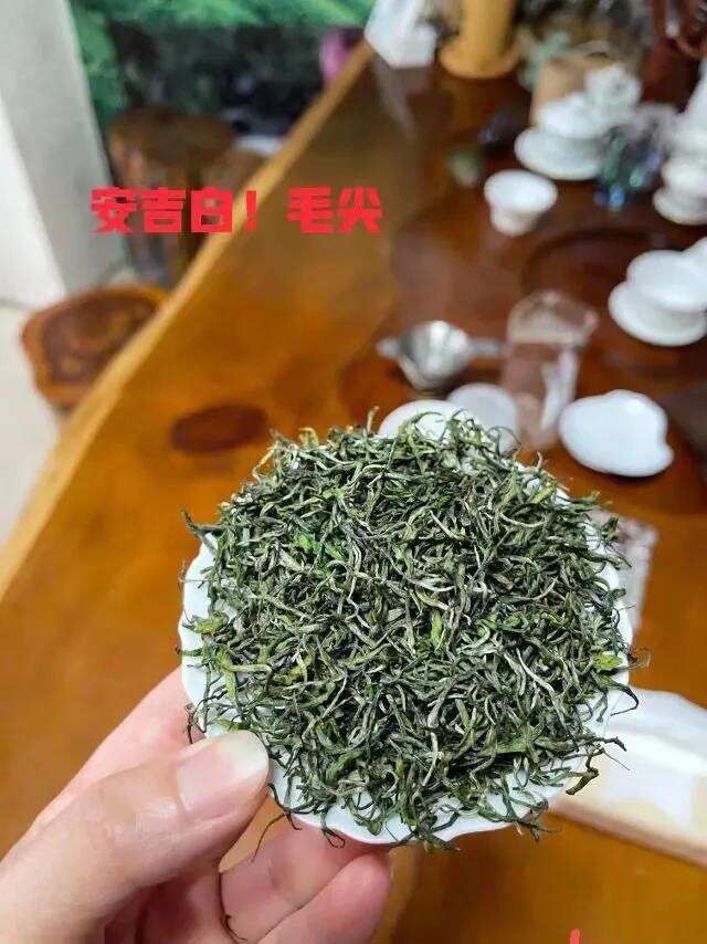 分享安吉白茶小知识