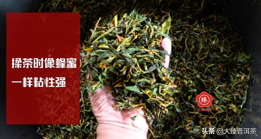 千年老妖｜行者品茶（086）