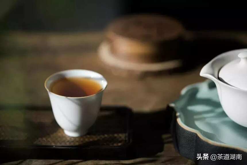 为什么要存茶？12条理由够不够