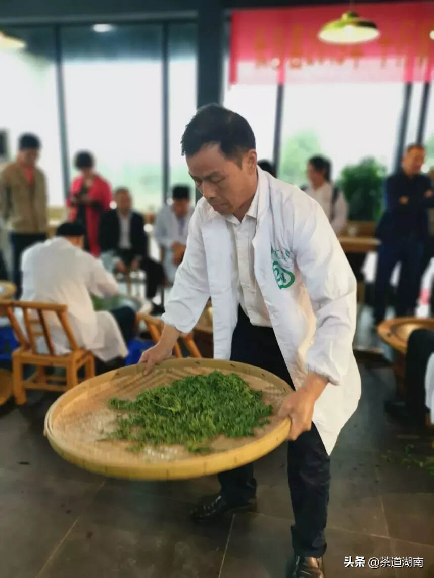 茶讯 | 长沙绿茶手工制茶比赛在金井举行