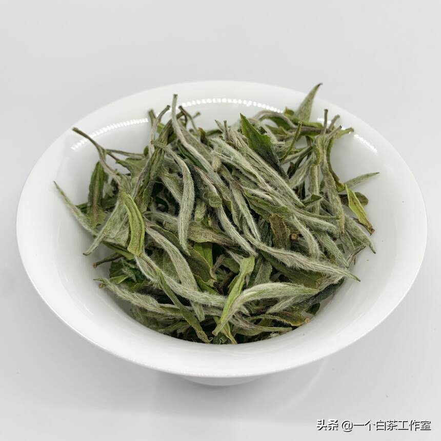 夏天饮茶，当饮福鼎白茶为佳