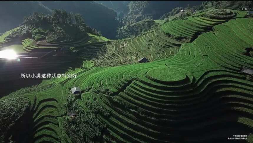 小满丨普洱茶的魅力在于，可以小满却永远到不了大满