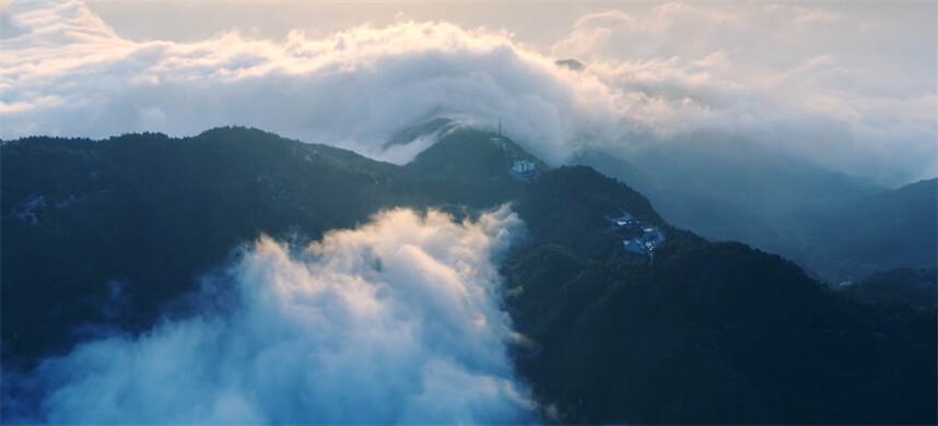 ​高山云雾出好茶，为什么冠名“云雾”的茶很少？