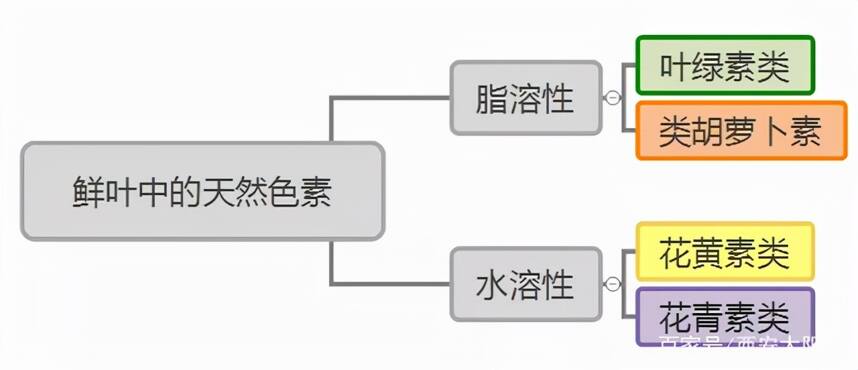 6大茶类的茶汤颜色，是怎么形成的？来自于“茶色素”的鬼斧神工