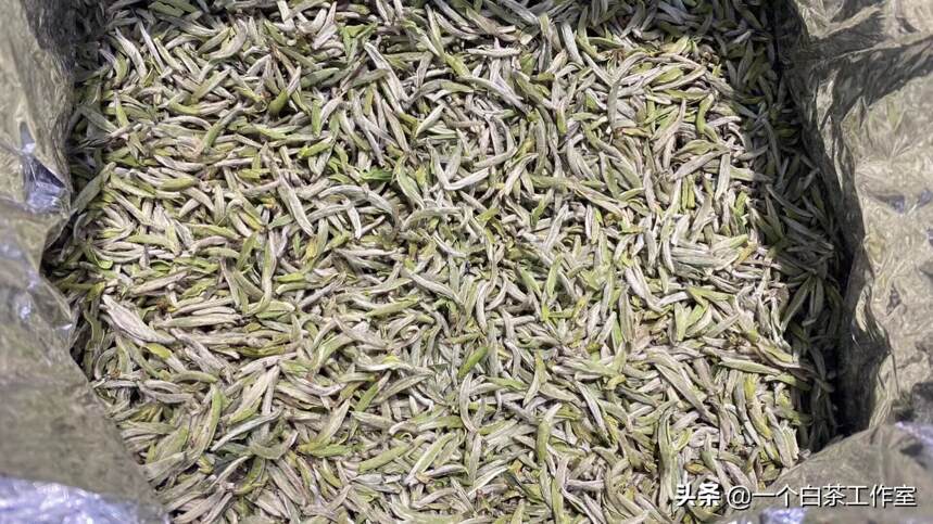 福鼎白茶散茶和茶饼区别，最明显的区别有6个