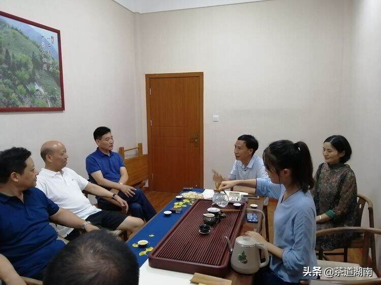 娄底市人大副主任陈明华调研市域茶产业发展情况