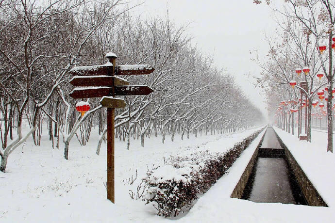 一下雪，你就换了一个更温暖的名字……