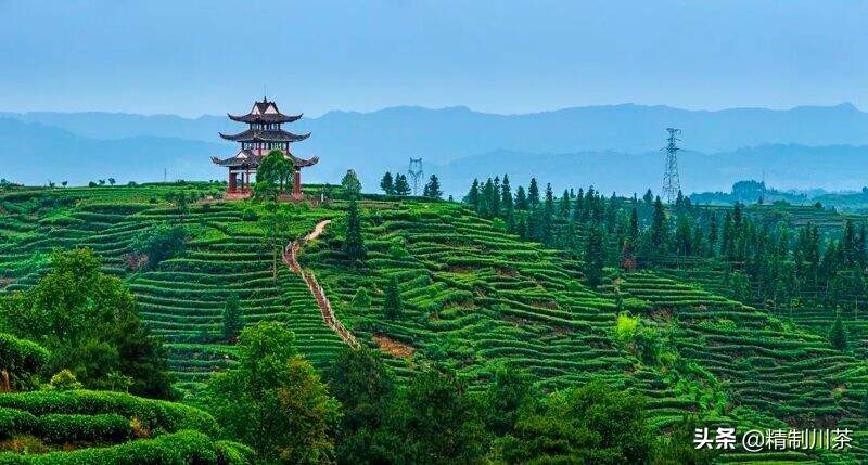 藏不住的美 | 四川生态宜居名村，红星镇骑龙村榜上有名