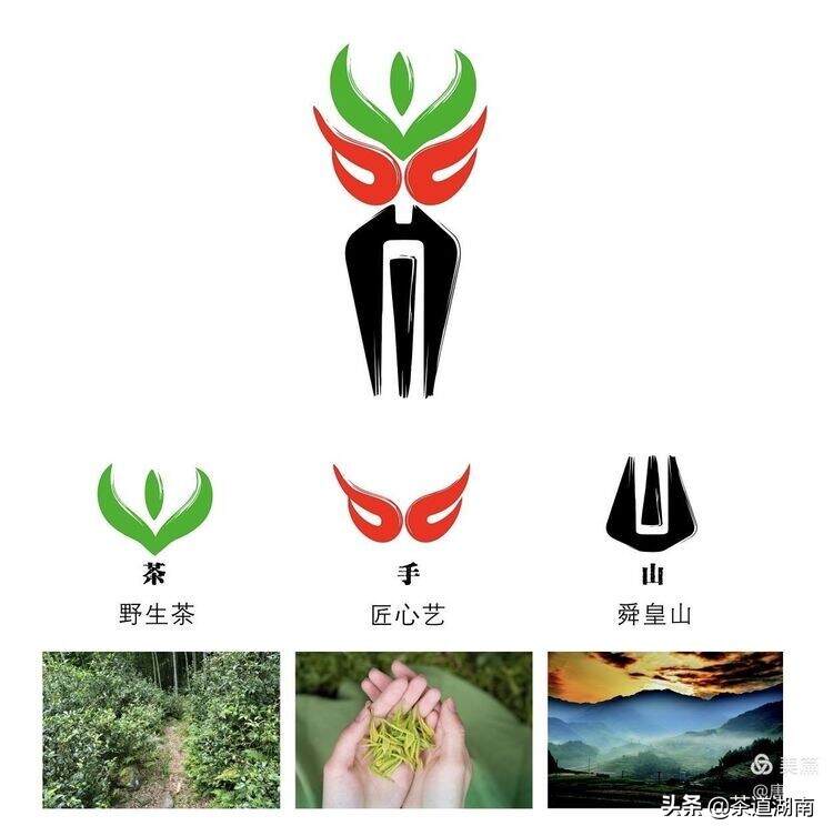 山看张家界，野茶数舜皇山