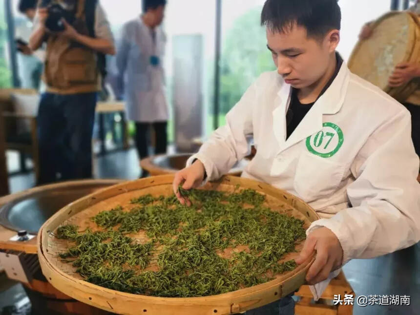 茶讯 | 长沙绿茶手工制茶比赛在金井举行