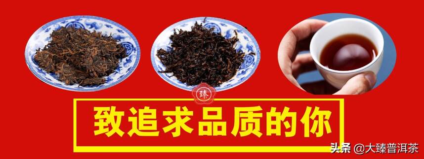 大臻勐海熟茶乔木王｜经典醇品山韵