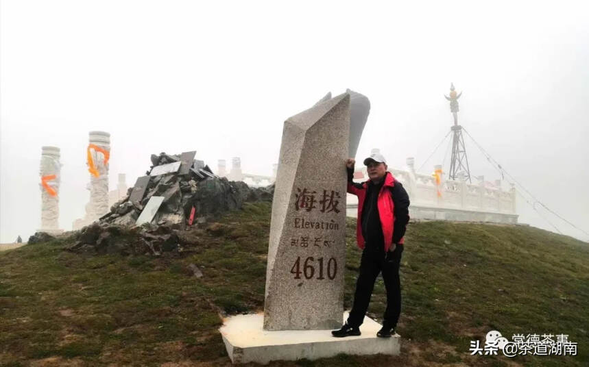 茶路行者 | 为您解读“万里茶路”上的风土人情