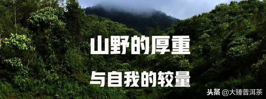 勐海金刚熟沱 金品质 茶感厚重「臻藏馆」