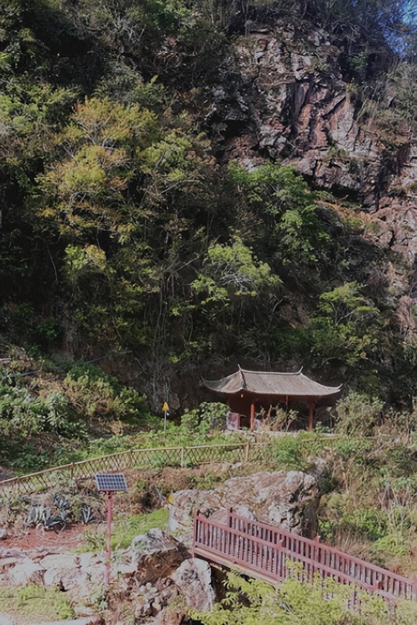 蒂芙特说茶：老海塘古茶山——茶盐之缘