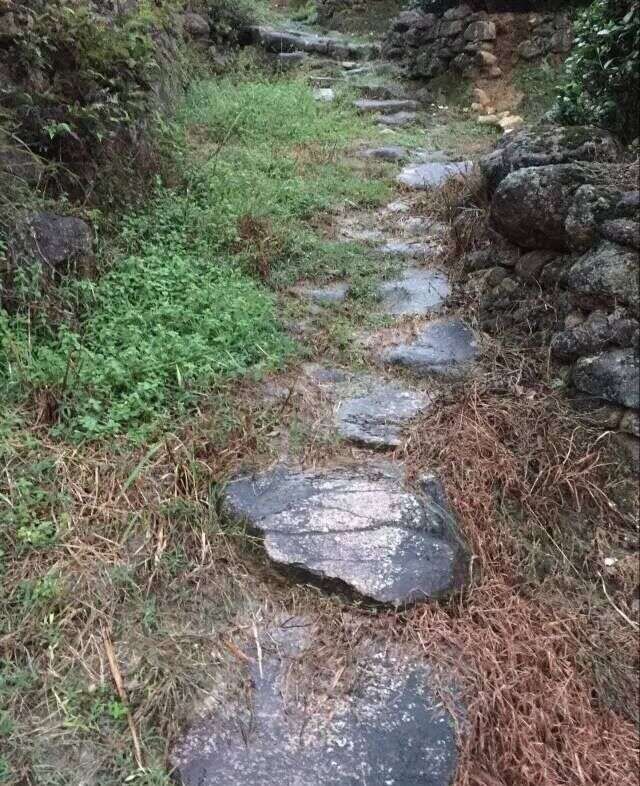 发现之旅｜闽南金三角的“茶马古道”