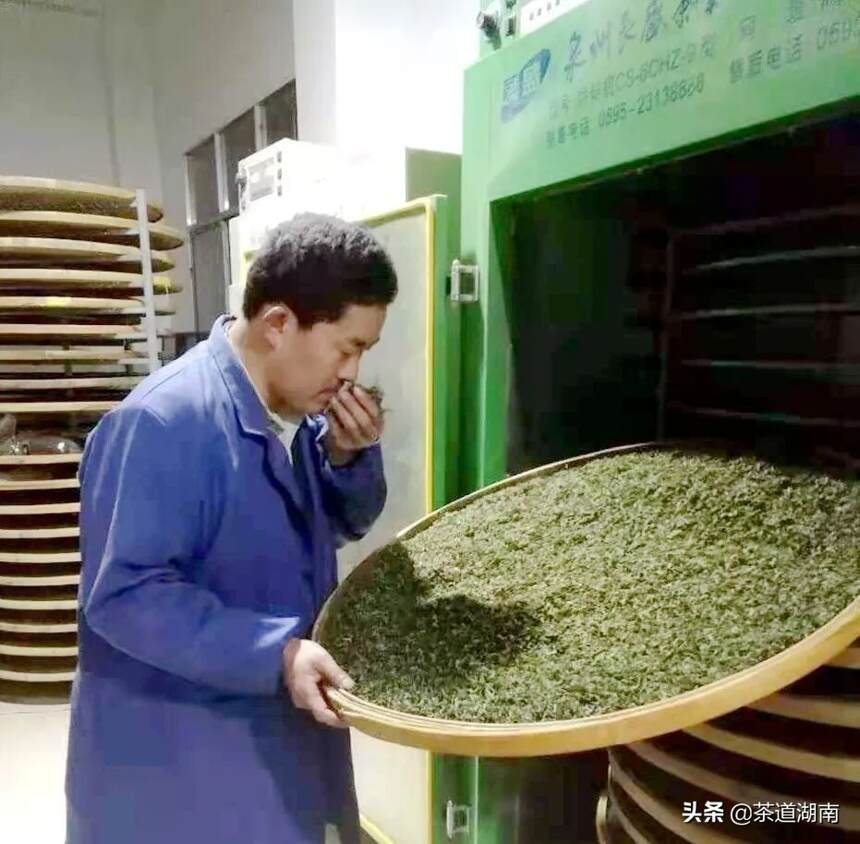 做自己满意的黄金茶——访向老大黄金茶董事向天颂