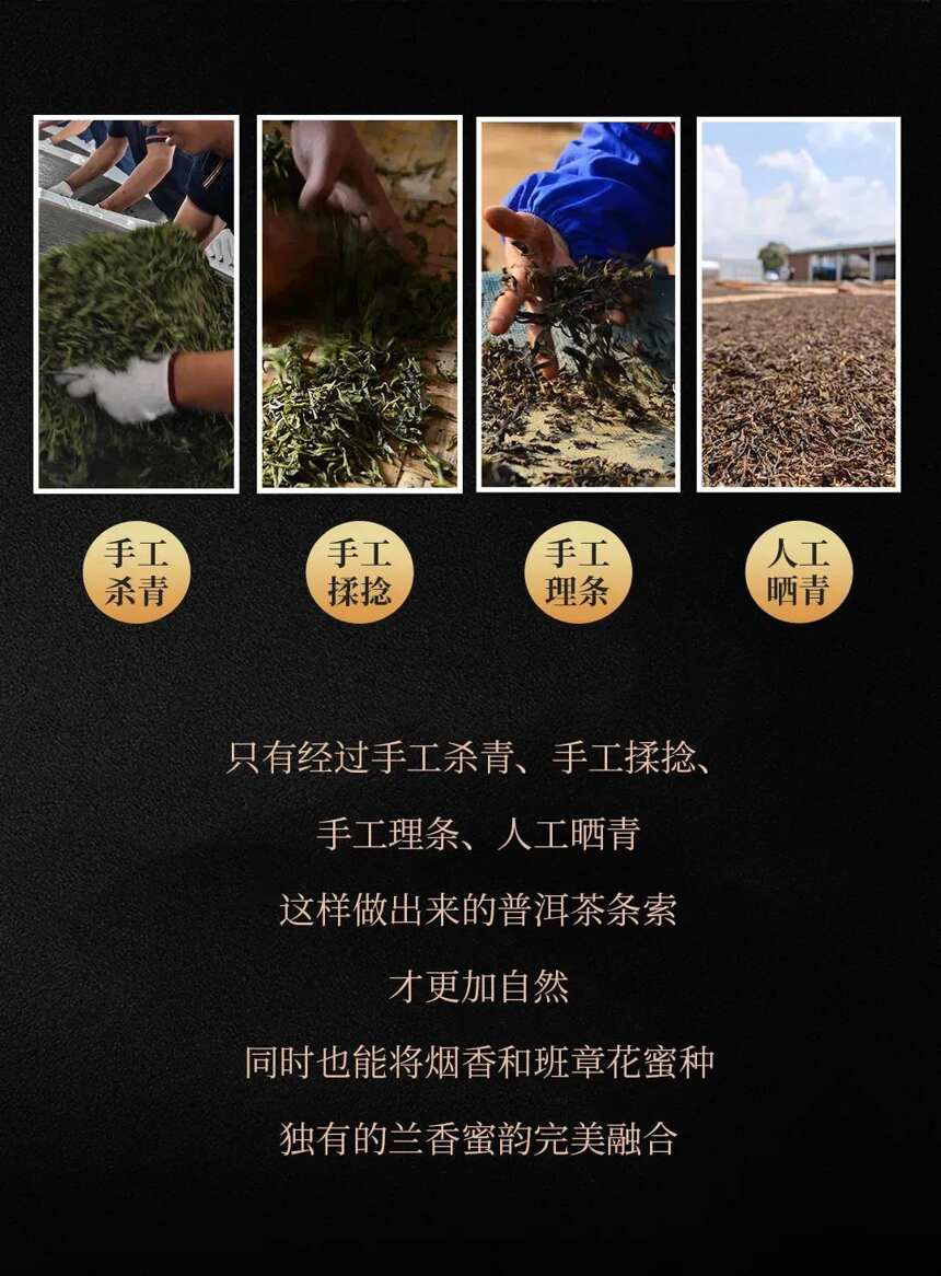 期盼了多年的. 班章四星大白菜青饼 终于出来啦