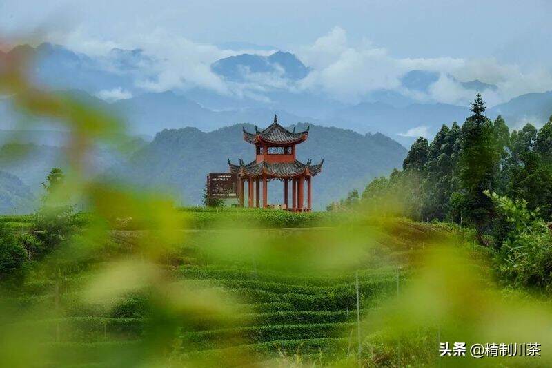 藏不住的美 | 四川生态宜居名村，红星镇骑龙村榜上有名