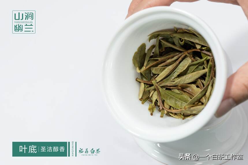 福鼎白茶怎样收藏才能增值？什么茶适合储藏？