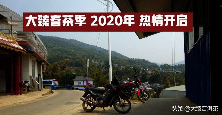 大臻古茶2020年预售产品说明和推荐组合