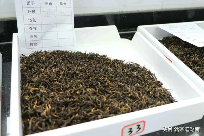 “名优茶评比”助推湘西茶产业高质量发展