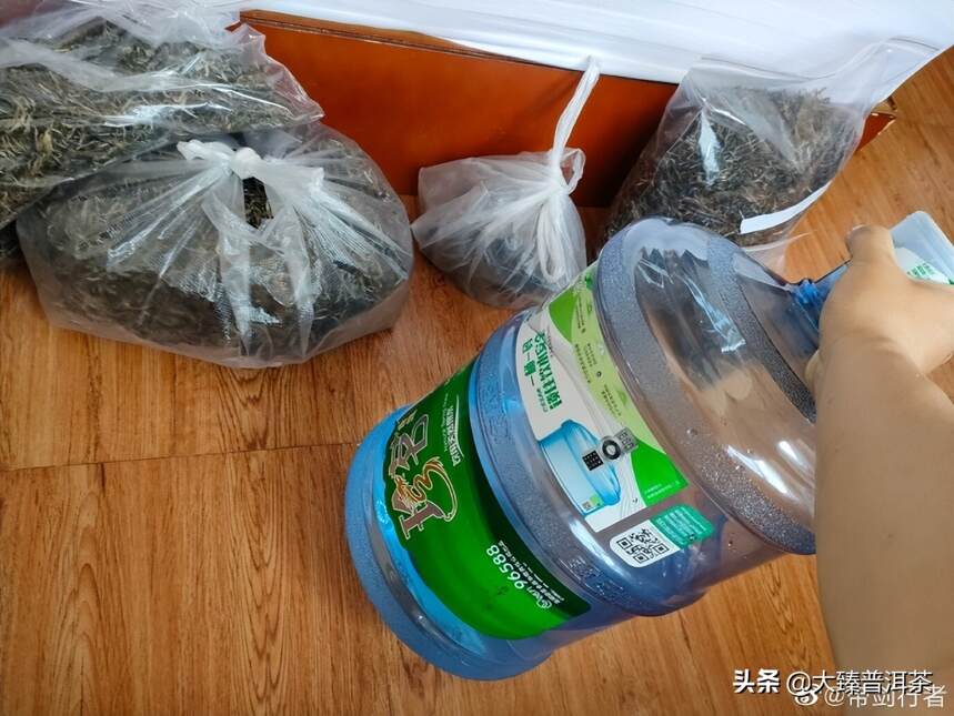 求之不得却意外得到的易武茶｜行者品茶(327)