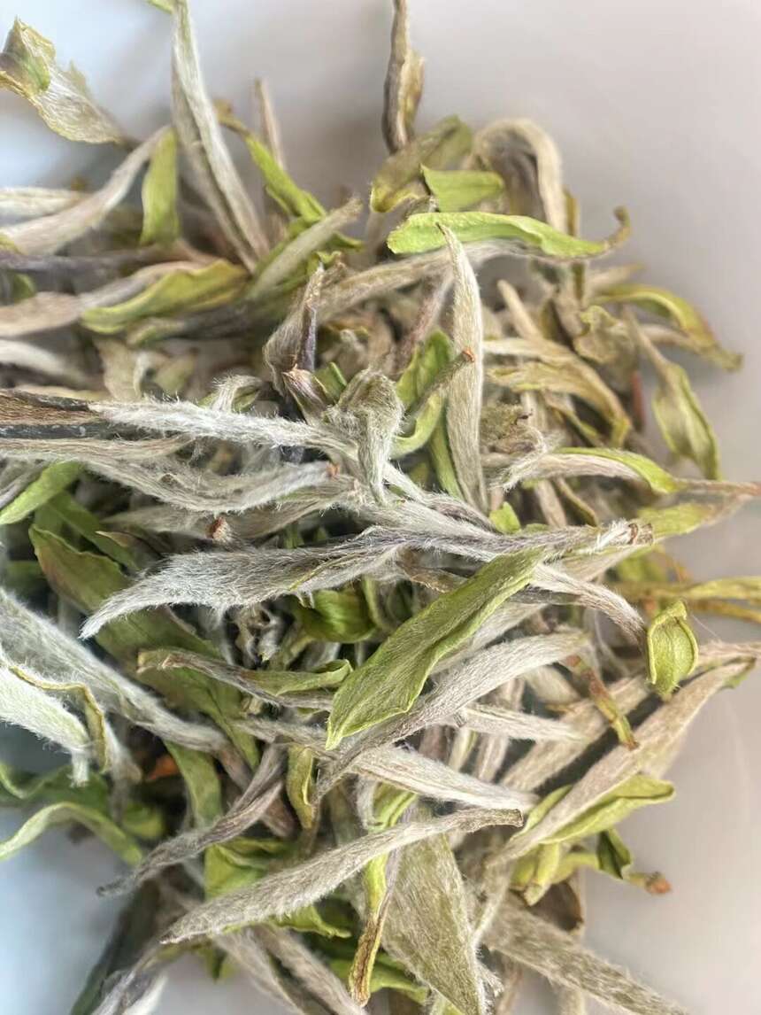 白牡丹是茶不是花，千万不要搞错啦，白牡丹科普大全来了