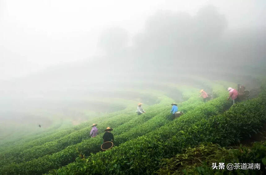 这个地方，用茶来诠释“幸福”与“安宁”