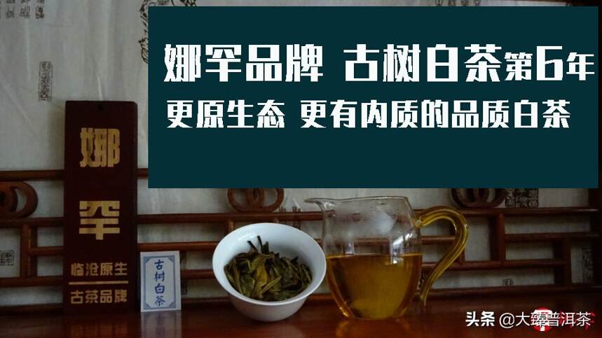 大臻冰岛古韵白茶｜白茶珍宝