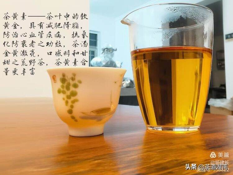 梅山涵：你的“真味茶”已然在苍峰山香起