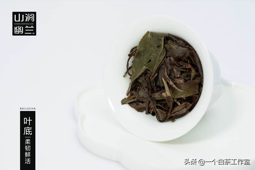 福鼎白茶怎样收藏才能增值？什么茶适合储藏？