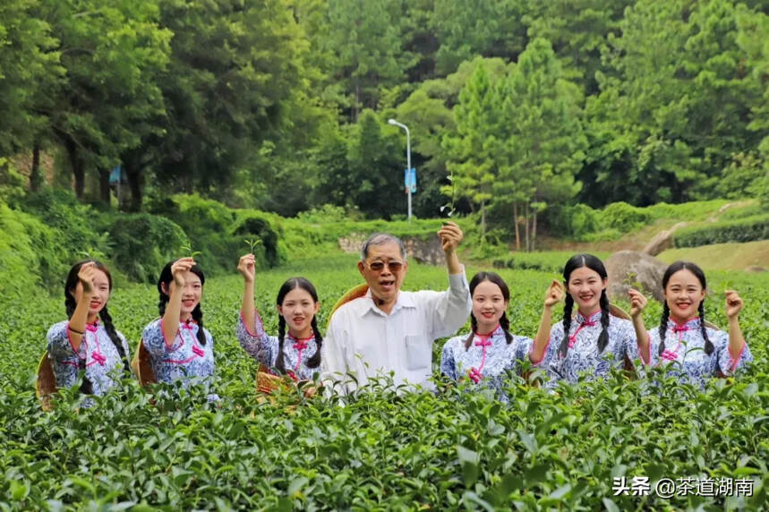 “茶爷爷”拍了拍你！萌萌哒