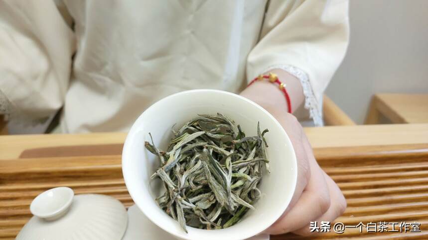 夏天饮茶，当饮福鼎白茶为佳