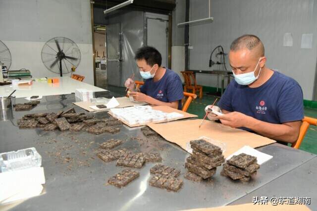 山是“万宝山” 树是“摇钱树”“十大精准脱贫先进县”桑植