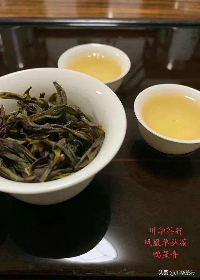 女性喝茶是对自己一次又一次的投资