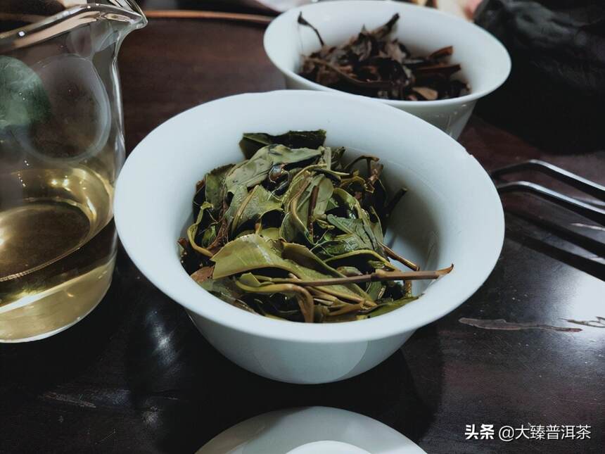 易武龙潭箐｜行者品茶(144)