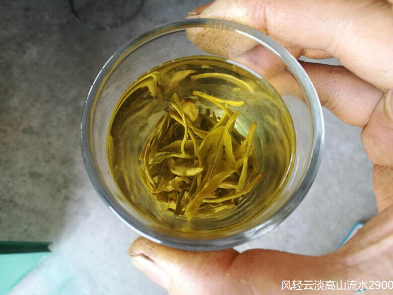 云南腾冲的炒青绿茶，“磨锅茶”贵在一个“磨”字，熟玉米糯香飘