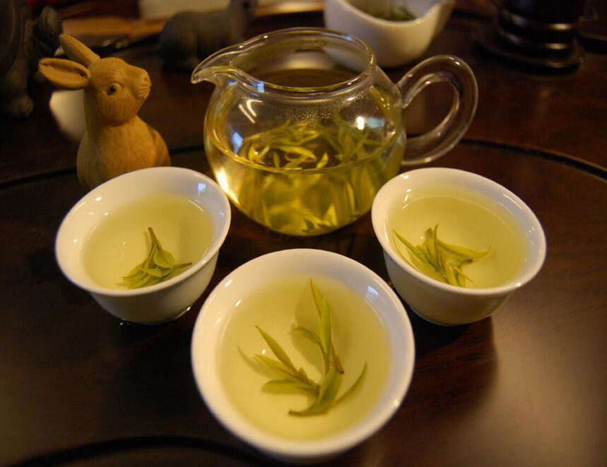 细说黄茶的：品种黄、工艺黄、之区别。新黄茶“黄魁”，是品种黄