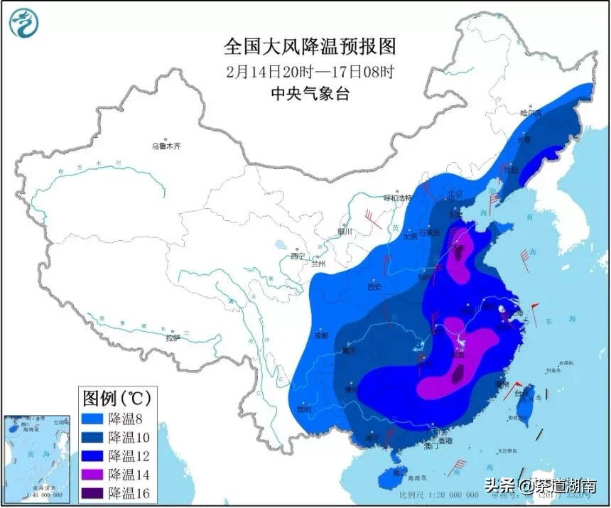 防疫不放松，寒潮早准备 茶树晚霜冻害如何综合防治看这里