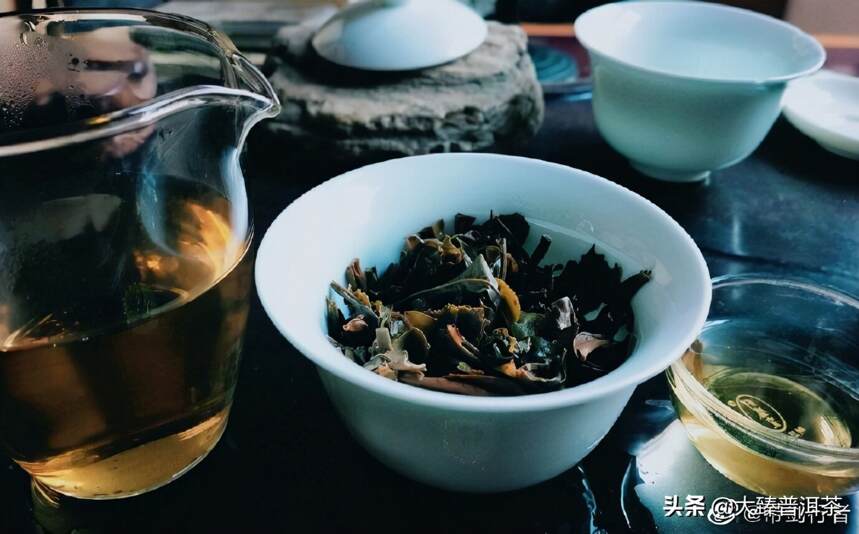 多年后的布朗之味｜行者品茶(320)