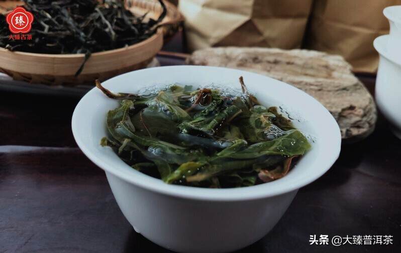 大臻十棵树｜大单株古树茶