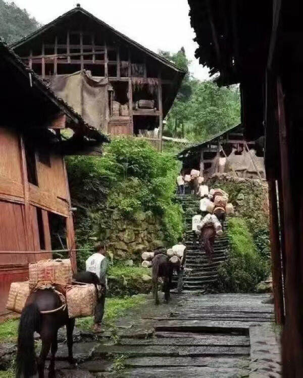 首次踏上茶马古道