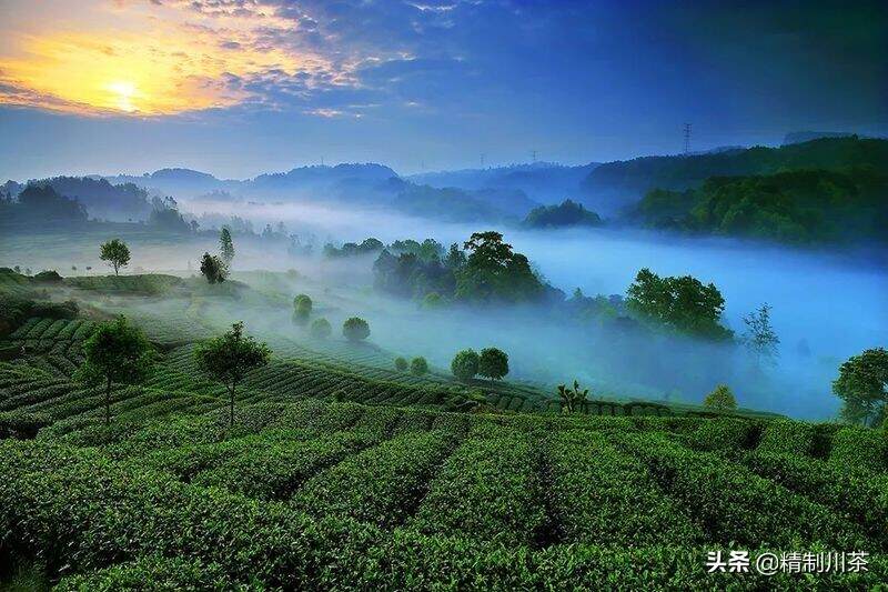 藏不住的美 | 四川生态宜居名村，红星镇骑龙村榜上有名