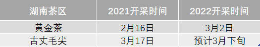 2022年春茶什么时候上市？绿茶主要产区采摘时间信息汇总