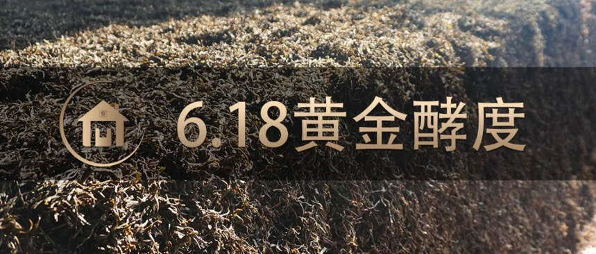 熟茶发酵技术专属定义