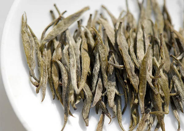 有一类茶，需要一种特殊的「黄」